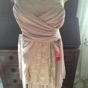 Beige Strapless Sequin Skirt w/Lace Overlay